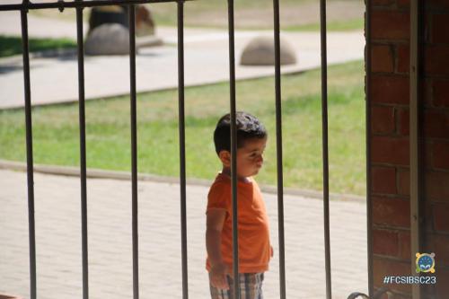 © 2024 | The Fellowship of Christian Students in Israel